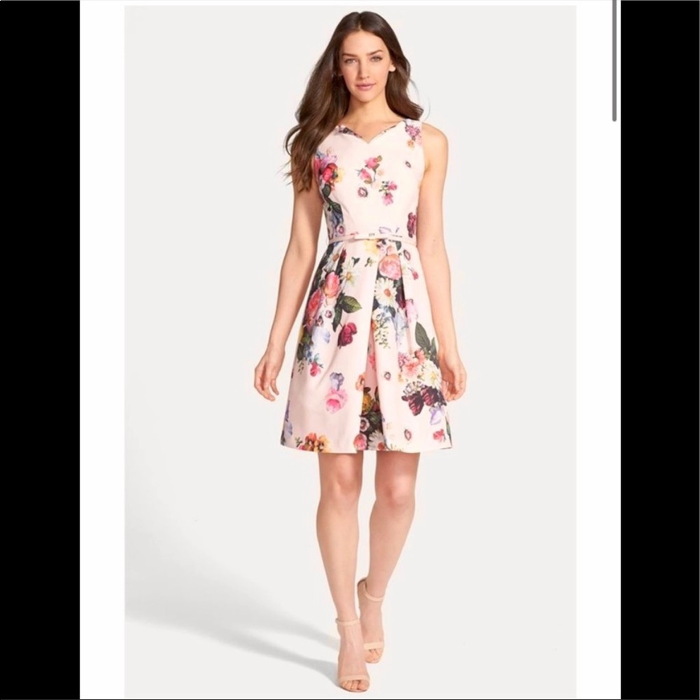 Ted Baker London Deavon Oil Painting Floral Print Belted Sheath Dress Pink